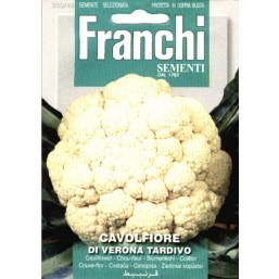 Капуста цветная Verona Tardivo (0,2 гр) 30/48  Franchi Sementi