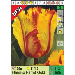 Тюльпаны Flaming Parrot Gold (x100) 11/12 (цена за шт.)