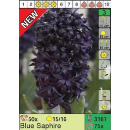 Гиацинты Blue Saphire (x75) 15/16 (цена за шт.)