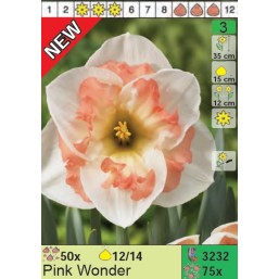 Нарциссы Pink Wonder (x75) 12/14 (цена за шт.)