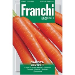 Морковь CAROTA Nantes (0,2 гр) 23/7 Franchi Sementi