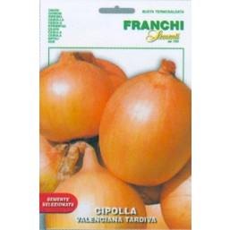 Лук репчатый Tardiva (0,2 гр) 43/41 Franchi Sementi