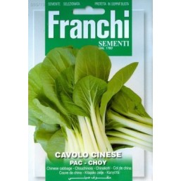 Капуста китайская PAC-CHOY (0,2 гр) 35/10 Franchi Sementi