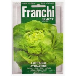 Салат Attractie (0,2 гр)  79/13 Franchi Sementi