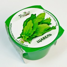 Щавель "Зелень круглый год" набор для выращивания BONTILAND (горшочек с крышкой, питательный субстрат, дренаж, семена)