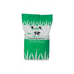 Семена кормовых трав "CUTMAX ALFA PROTEIN HOT& DRY" 10 кг.