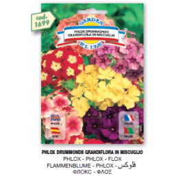 Флокс Drummondii grandiflora mix семена DB
