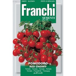 Помидоры Red Cherry 50гр.   Franchi Sementi