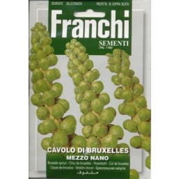 Капуста брюсельская 100гр  A 24/2   Franchi Sementi