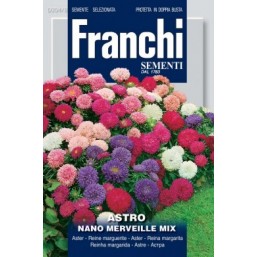 Астра карликовая Nano Merveille, смесь (1 гр)  VXF 304/8   Franchi Sementi