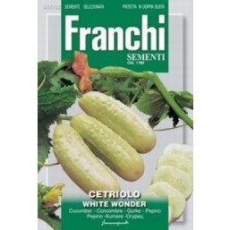 Огурцы White Wonder (5 гр)   Franchi Sementi