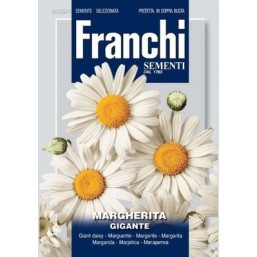 Маргаритка Gigannte DBF (2 гр) 336/1 Franchi Sementi