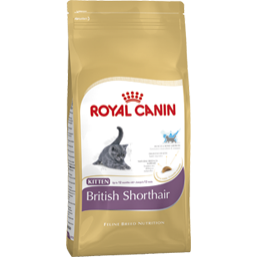 Сухой корм Royal Canin British Shorthair Kitten 2 kg