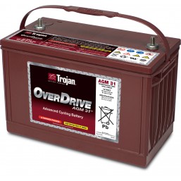 OverDrive ™AGM31 Необслуживаемая тяговая батарея