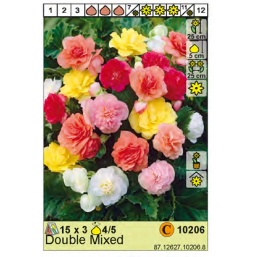 Бегония Double Mixed 4/5