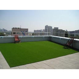 Семена газонной травы, Травосмесь- Экстенсивное озеленение крыши GF 610, 60 гр.