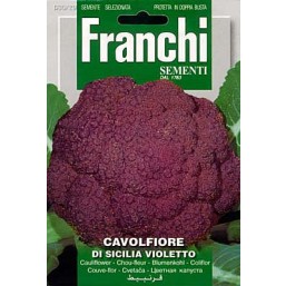 Капуста цветная Sicilia Violletto   DBO 30/29   Franchi Sementi