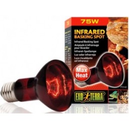 R63075 Лампа инфракрасная REPTI INFRARED UV 75w