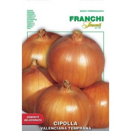 Лук репчатый  Temprana VXO 43/42   Franchi Sementi