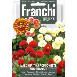 Маргаритка Pomponette, смесь (0,5 гр) DBFS336/3   Franchi Sementi