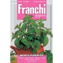 Мята перечная (2 гр) DBA 92/1   Franchi Sementi