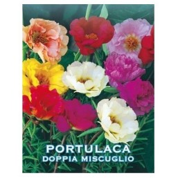 Семена цветов "Портулак обыкновенный" 30 гр.