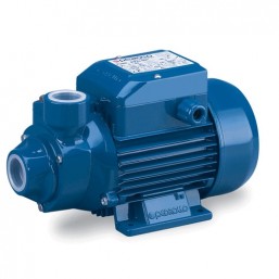 Насос бытовой вихревой трехфазный Pedrollo PK 300