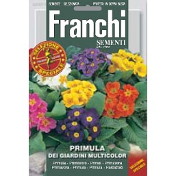 Примула садовая, смесь (0,4 гр) DBFS 347/1   Franchi Sementi