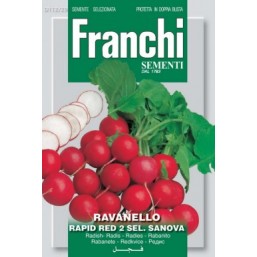 Редиска Rapid Red 2 (0,2 гр)  112/29 Franchi Sementi