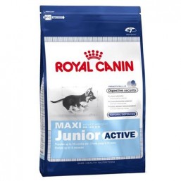 Сухой корм Royal Canin Maxi Junior Active 20kg