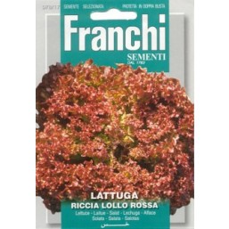 Салат Латук Riccia Lollo Rossa (5 гр) VXO 78/17   Franchi Sementi