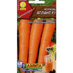 Морковь Атлант F1. Аэлита