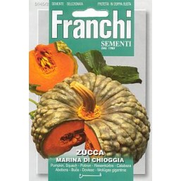 Тыква  MARINA DI CHIOGGIA VXO145/2   Franchi Sementi