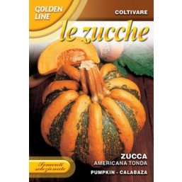 Тыква Americana tonda GLZU 145/19   Franchi Sementi