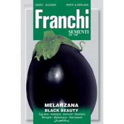 Семена "Баклажан" BLACK BEAUTY 50 гр 90/21 Franchi Sementi