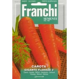 Семена "Морковь Flakkee" 100 гр 23/13 Franchi Sementi