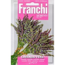 Семена "Лаванда Vera" 50 гр 87/1 Franchi Sementi
