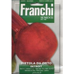 Семена "Свекла Egitto Migliorata" 500 гр 11/2 Franchi Sementi