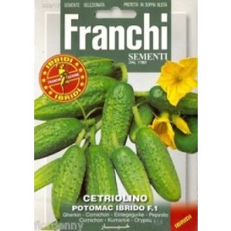 Семена "Огурцы POTOMAK IBRIDO F.1" 50 гр 38/18 Franchi Sementi