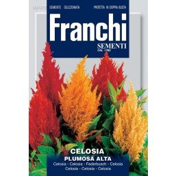 Целозия перистая Plumosa Alta, смесь (1 гр)  VXF 312/2   Franchi Sementi