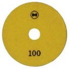 Полировочный диск 100 (10шт)