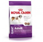 Сухой корм Royal Canin Giant Adult 4kg