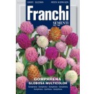 Семена цветов "Гомфрена разноцветная" 30 гр.   Franchi Sementi
