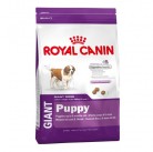 Сухой корм Royal Canin Giant Puppy 4kg