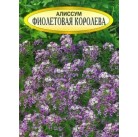 Семена цветов "Алисум Фиолетовая королева" 30 гр.   Franchi Sementi