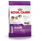 Сухой корм Royal Canin Giant Adult 20kg