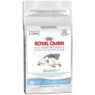 Royal Canin Queen 34 4 кг