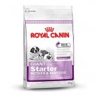 Сухой корм Royal Canin Giant Starter 4 kg