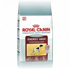 Сухой корм Royal Canin Energy 4800