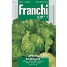 Семена "Салат латук  BRASILIANA" 100 гр 86/37 Franchi Sementi